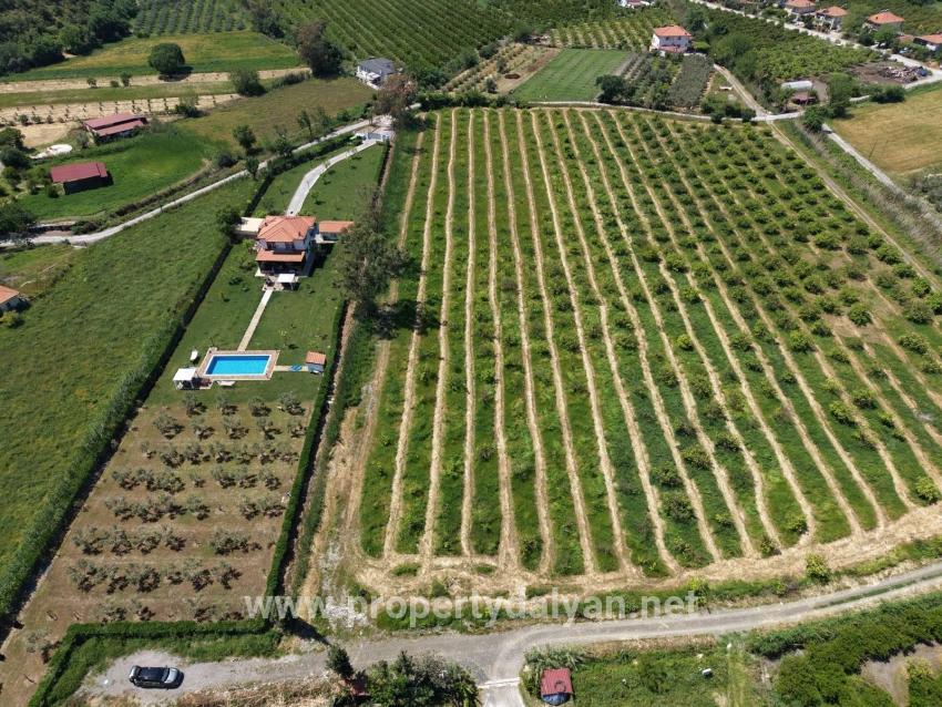 5100 M² Großes Grundstück In Der Nähe Des Stadtzentrums Von Dalyan Zu Verkaufen.
