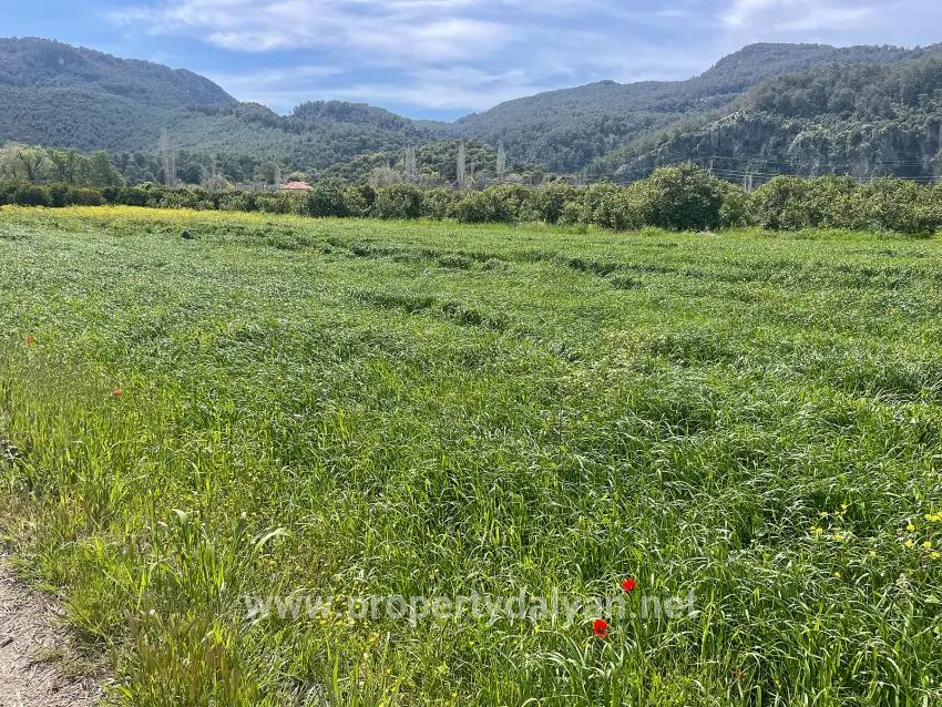 In Okçular Einem 736m2 Großen, 250m2 Großen Bau Genehmigten Verkäuflichen Grundstück