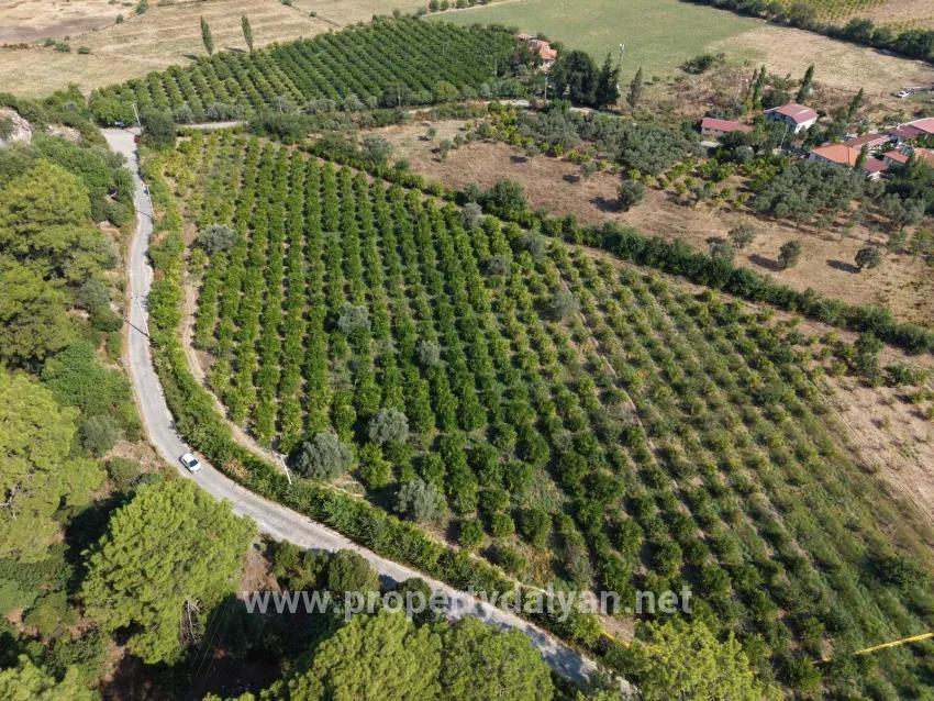 Im Köyceğiz Çandır Mahallesinde kanala sıfır 20.000m2 satılık Feld