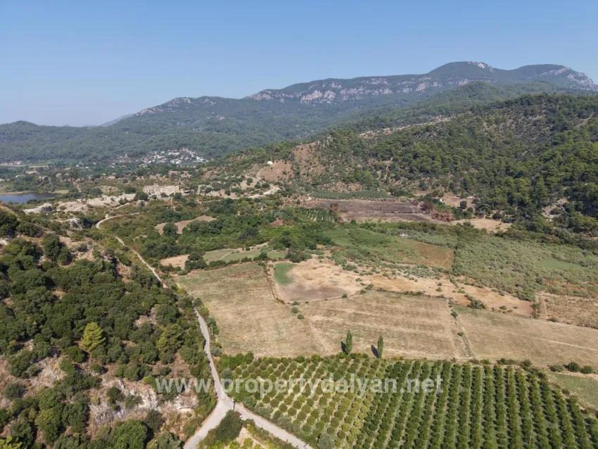 Im Köyceğiz Çandır Mahallesinde kanala sıfır 20.000m2 satılık Feld