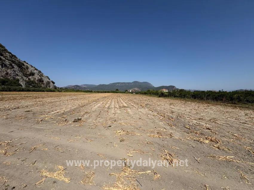 Feld Zu verkaufen in Dalyan Bz. Ortaca - Feld-Zonierung - 20.786 m²