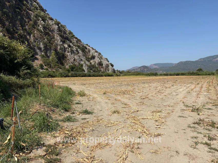Feld Zu verkaufen in Dalyan Bz. Ortaca - Feld-Zonierung - 20.786 m²