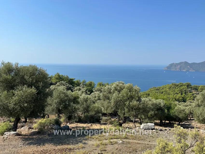 Feld Zu verkaufen in Çandır Bz. Köyceğiz - Feld-Zonierung - 21.000 m²