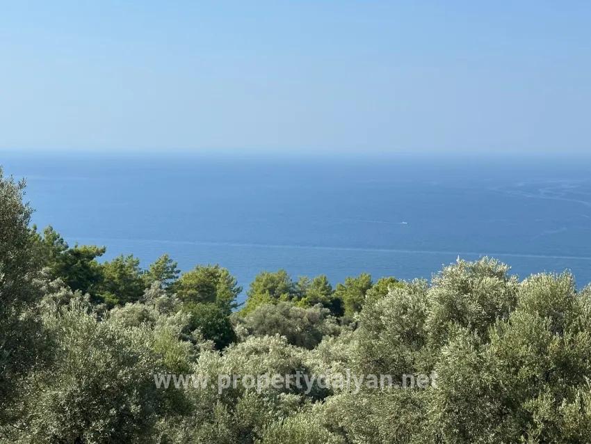 Feld Zu verkaufen in Çandır Bz. Köyceğiz - Feld-Zonierung - 21.000 m²