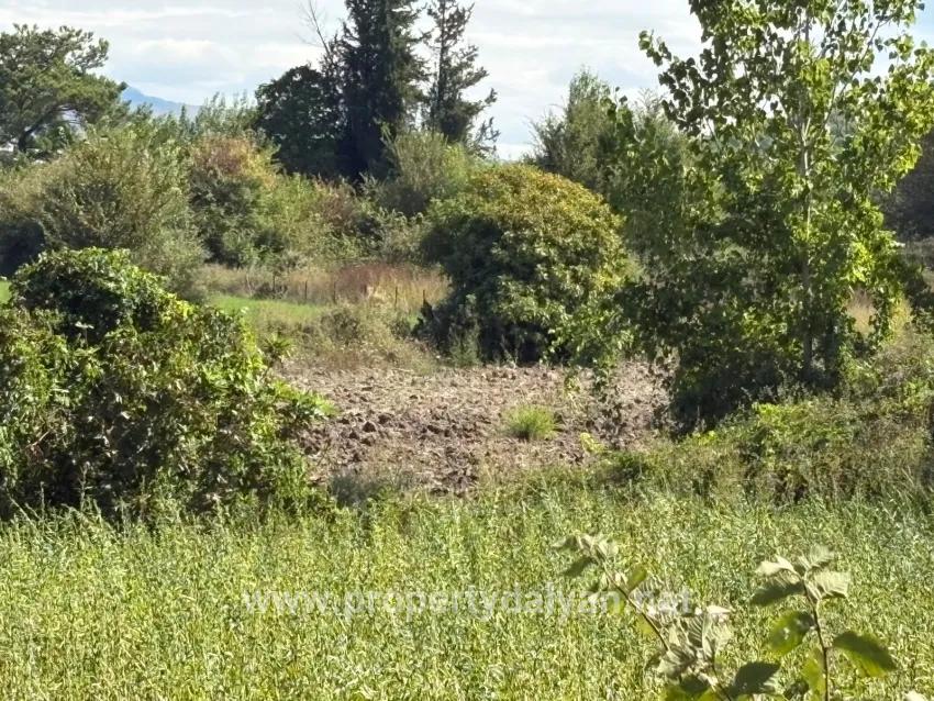 Feld Zu verkaufen in Zeytinalanı Bz. Köyceğiz - Feld-Zonierung - 10.500 m²