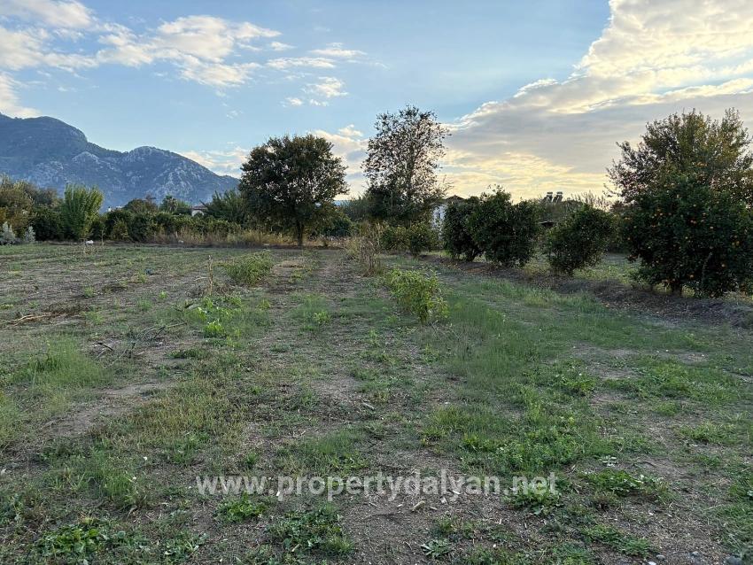 7.450 M² Großes Grundstück In Dalyan Mit 5%iger Zonierung Zu Verkaufen.
