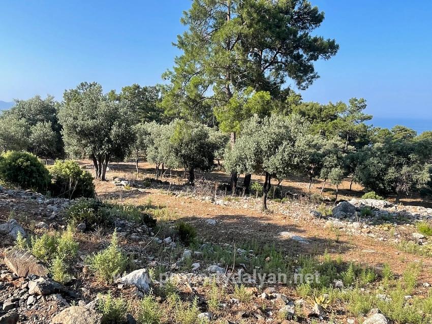Schnäppchengrundstück Zum Verkauf Mit Meerblick In Der Gegend Von Ekincik-çandır.