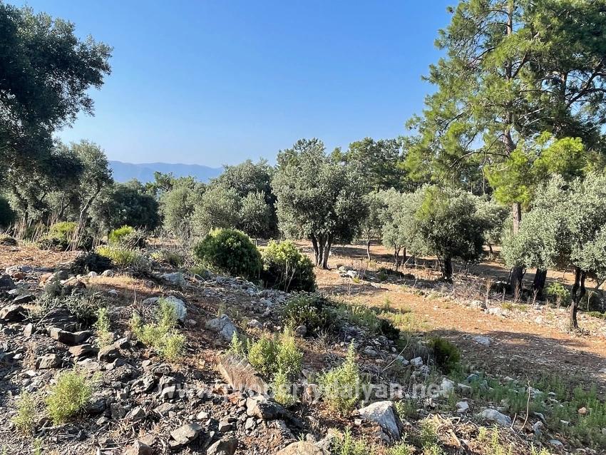 Schnäppchengrundstück Zum Verkauf Mit Meerblick In Der Gegend Von Ekincik-çandır.
