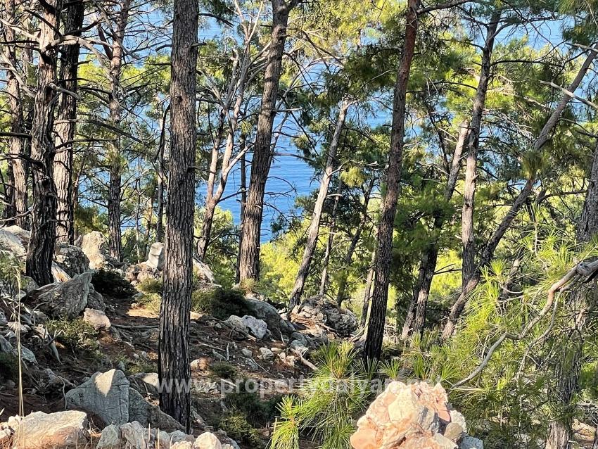 Schnäppchengrundstück Zum Verkauf Mit Meerblick In Der Gegend Von Ekincik-çandır.