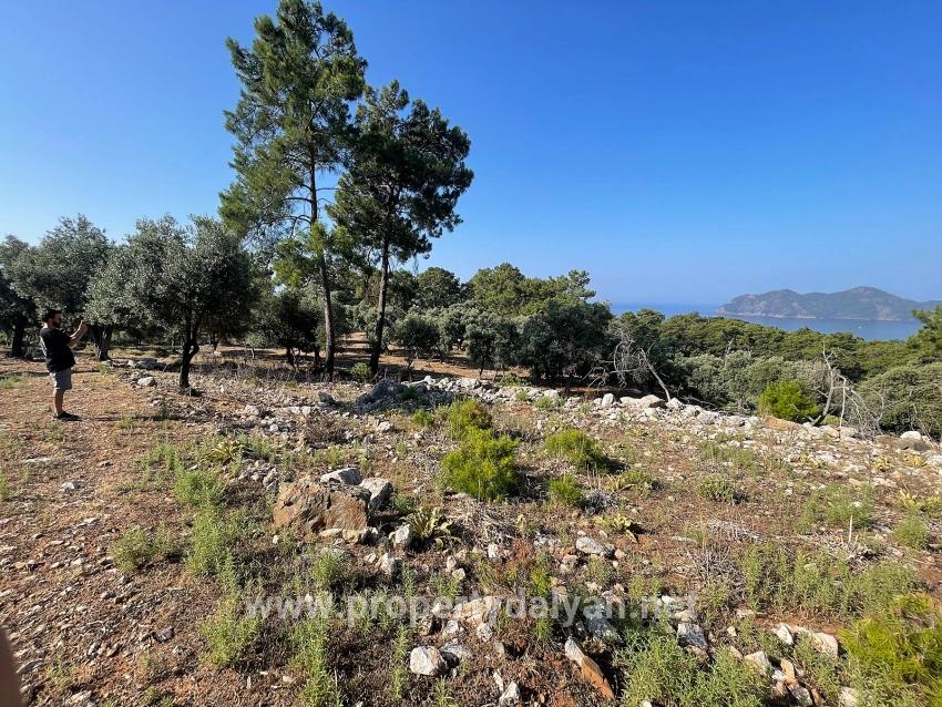 Schnäppchengrundstück Zum Verkauf Mit Meerblick In Der Gegend Von Ekincik-çandır.