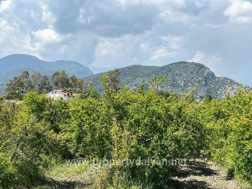 5.100 M² Großes Grundstück In Dalyan, Gebiet Maraş, Zu Verkaufen, Ausgewiesen Für 5% Wohnnutzung.