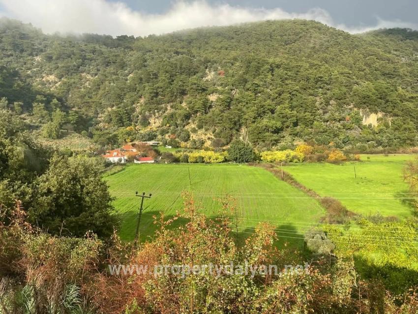 35.000 M² Ackerland Zum Verkauf In Çandır, Köyceğiz.