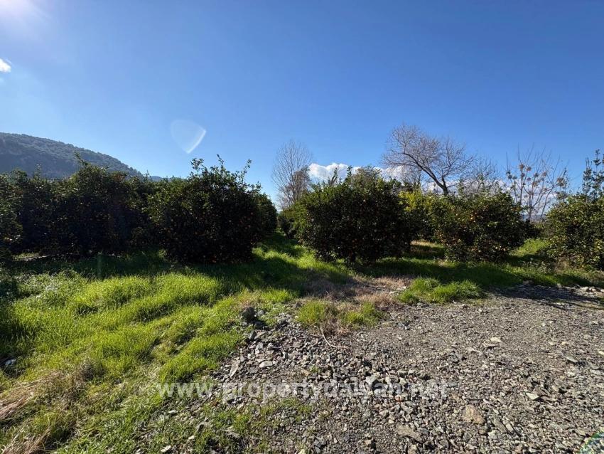Land Zu verkaufen in Okçular Bz. Ortaca - Gehäuse-Zonierung - 4.326 m²