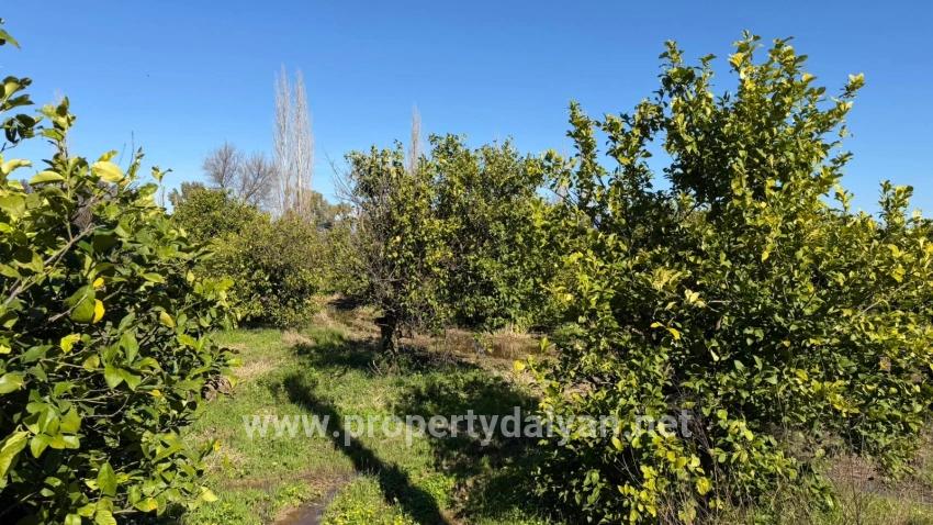 2.218m2 Grundstück Zum Verkauf In Okçular Marmarlı