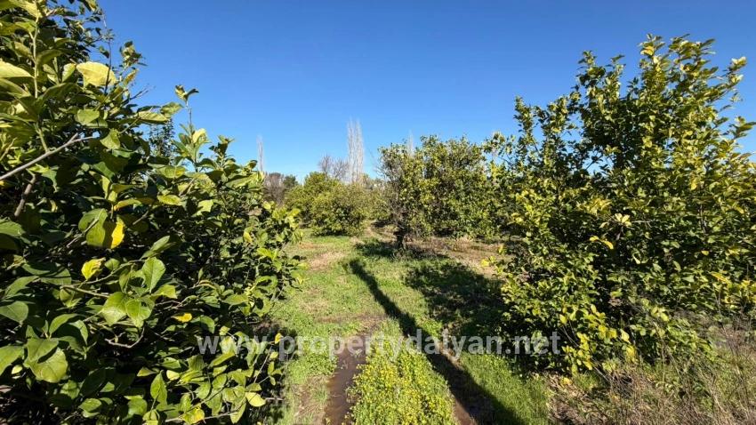 2.218m2 Grundstück Zum Verkauf In Okçular Marmarlı