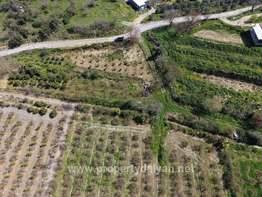 16.710 M² Granatapfelgarten Zum Verkauf Mit Seeblick In Eskiköy