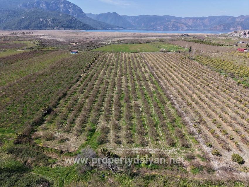16.710 M² Granatapfelgarten Zum Verkauf Mit Seeblick In Eskiköy