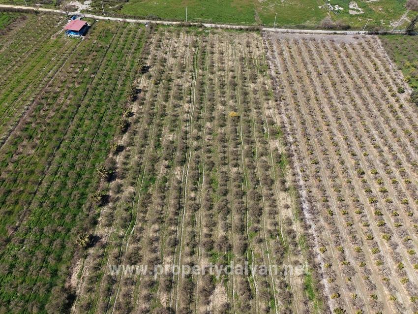 16.710 M² Granatapfelgarten Zum Verkauf Mit Seeblick In Eskiköy