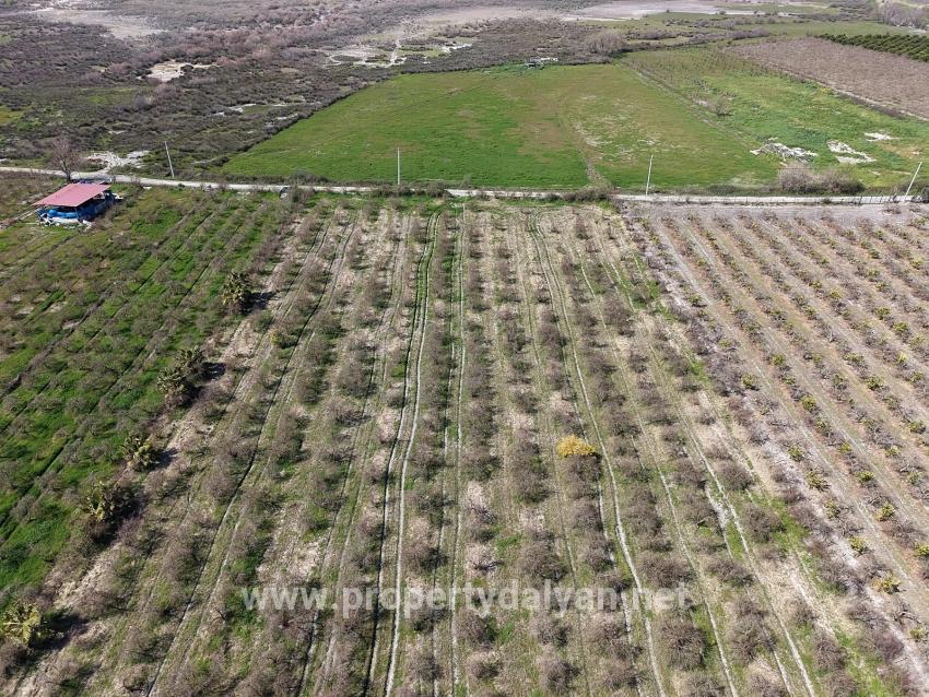 16.710 M² Granatapfelgarten Zum Verkauf Mit Seeblick In Eskiköy