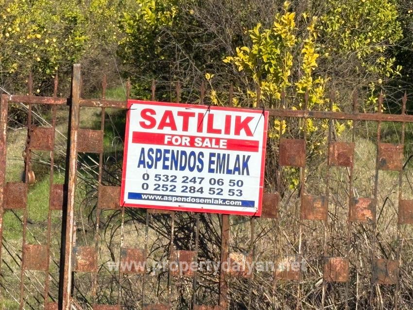 23.000 M² Großes Freistehendes Grundstück In Tepearası Zu Verkaufen.