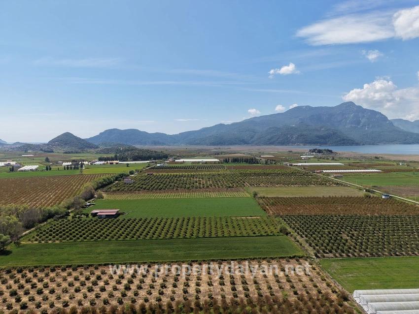 16.000 M² Großer Granatapfelgarten In Eskiköy Zu Verkaufen