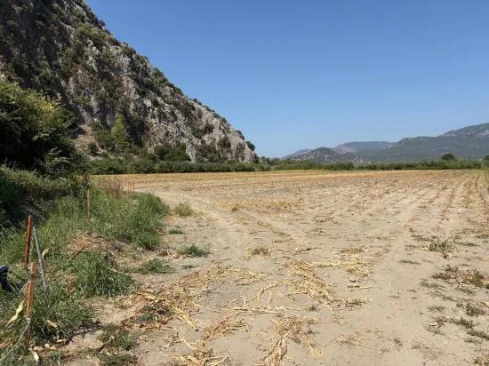 In Dalyan 20.786m2 Verkaufsfeld