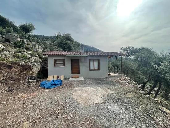 Köyceğiz Ekincik mit Meerblick 7.000m2 2b zu verkaufen Olivenhain
