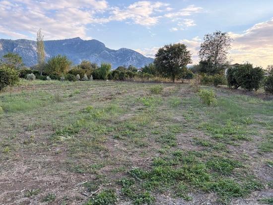 7.450 M² Großes Grundstück In Dalyan Mit 5%iger Zonierung Zu Verkaufen.