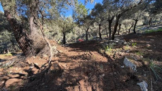 2b-feld Von 5715 M2 Zum Verkauf Mit Vollem Meerblick In Çandır