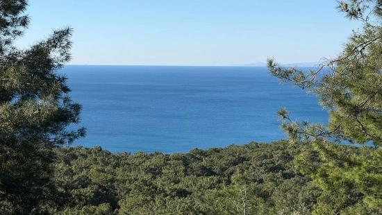 2b-feld Von 5715 M2 Zum Verkauf Mit Vollem Meerblick In Çandır