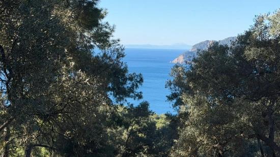 2b-feld Von 5715 M2 Zum Verkauf Mit Vollem Meerblick In Çandır