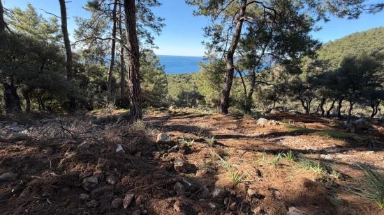 2b-feld Von 5715 M2 Zum Verkauf Mit Vollem Meerblick In Çandır