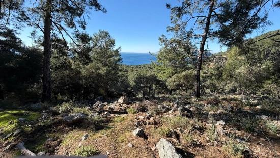 2b-feld Von 5715 M2 Zum Verkauf Mit Vollem Meerblick In Çandır