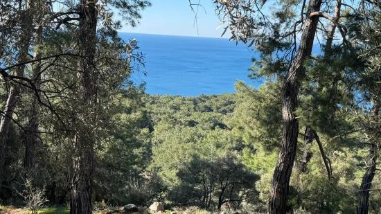 2b-feld Von 5715 M2 Zum Verkauf Mit Vollem Meerblick In Çandır
