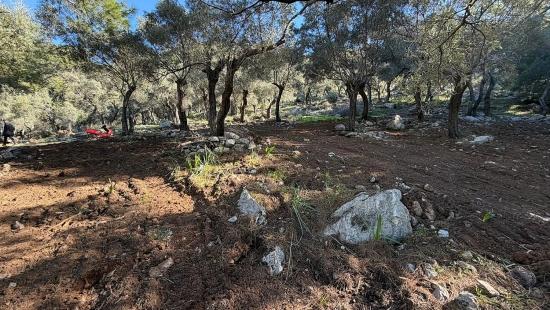 2b-feld Von 5715 M2 Zum Verkauf Mit Vollem Meerblick In Çandır