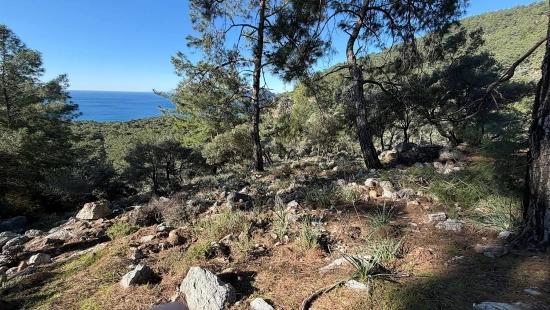 2b-feld Von 5715 M2 Zum Verkauf Mit Vollem Meerblick In Çandır