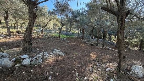 2b-feld Von 5715 M2 Zum Verkauf Mit Vollem Meerblick In Çandır
