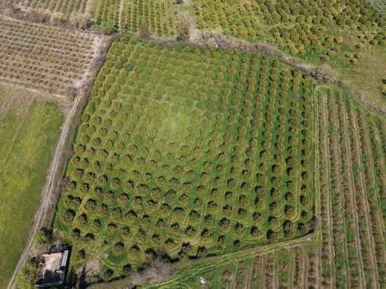 17.550 M2 Weinberg-bahce Zum Verkauf In Der Nähe Des Dalyan Centers