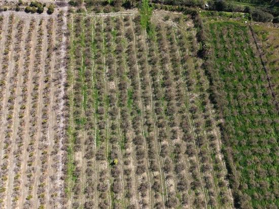 16.710 M² Granatapfelgarten Zum Verkauf Mit Seeblick In Eskiköy