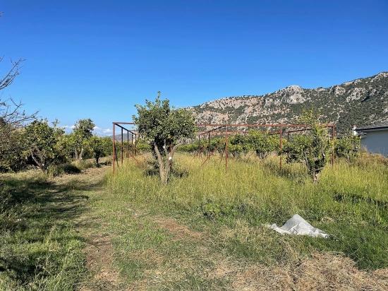 6600 M² Großes Grundstück In Der Nähe Des Zentrums Von Dalyan Zu Verkaufen.