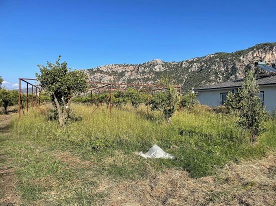6600 M² Großes Grundstück In Der Nähe Des Zentrums Von Dalyan Zu Verkaufen.