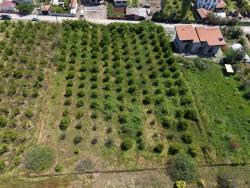 Land Zu verkaufen in Okçular Bz. Ortaca - Gehäuse-Zonierung - 1.050 m²