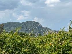 Land Zu verkaufen in Dalyan Bz. Ortaca - Gehäuse-Zonierung - 5.100 m²