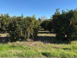 Land Zu verkaufen in Ekşiliyurt Bz. Ortaca - Gehäuse-Zonierung - 1.085 m²