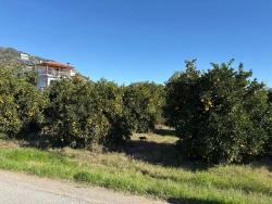 Land Zu verkaufen in Ekşiliyurt Bz. Ortaca - Gehäuse-Zonierung - 1.085 m²