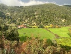 Gelände Zu verkaufen in Çandır Bz. Köyceğiz - Feld-Zonierung - 35.000 m²