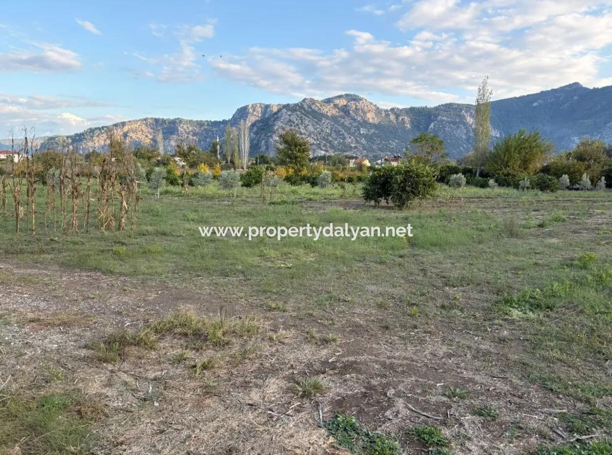 7.450M2 Land Zum Verkauf In Der Nähe Des Zentrums Von Dalyan
