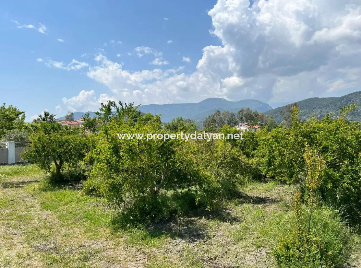 5.100 M2 Land Zum Verkauf In Der Gegend Von Dalyan Maraş Mit 5% Wohnzone