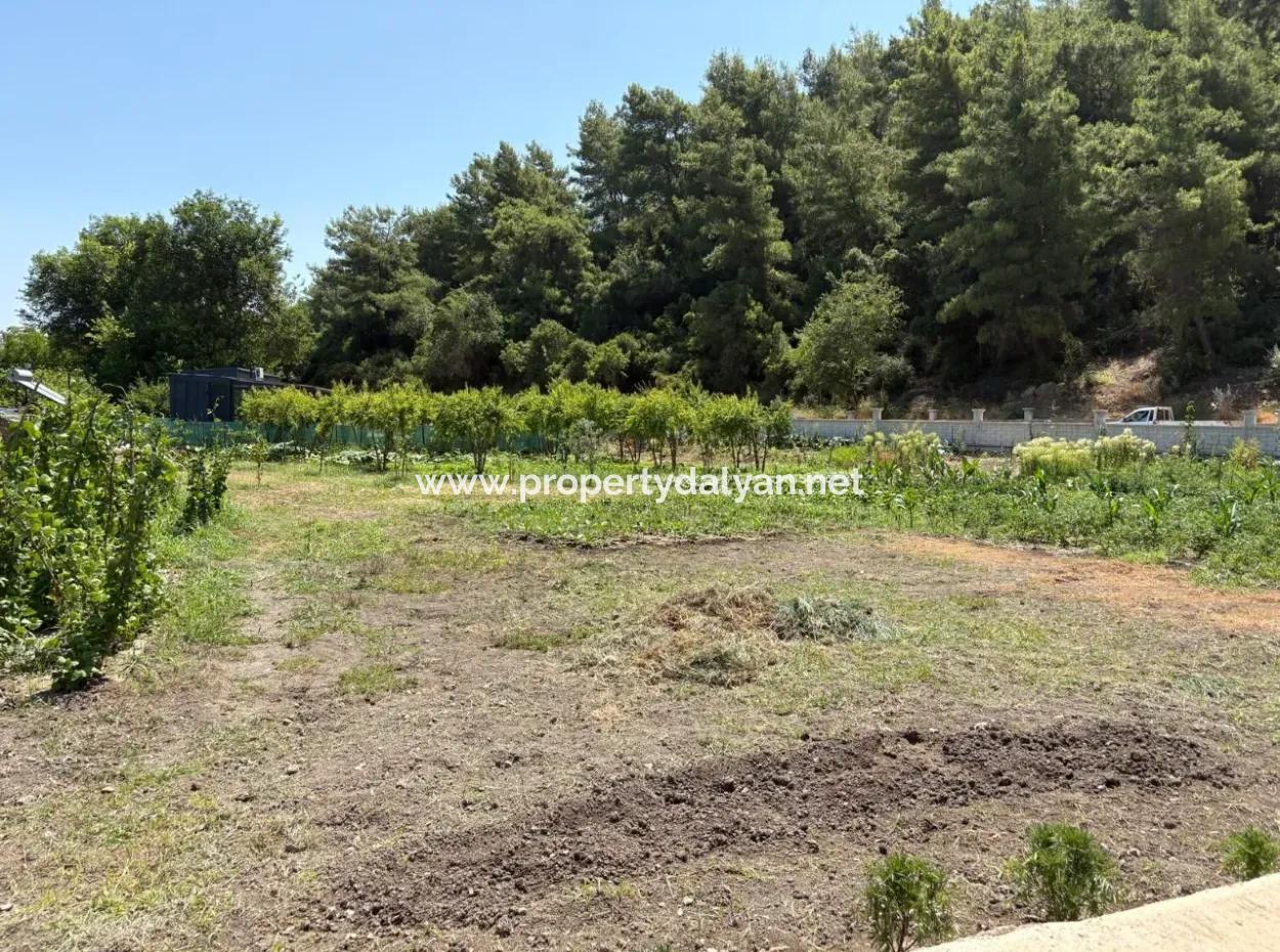 120M2 Freistehendes Holzhaus Auf Einem 2500M2 Großen Feld In Dalyan Karadağ