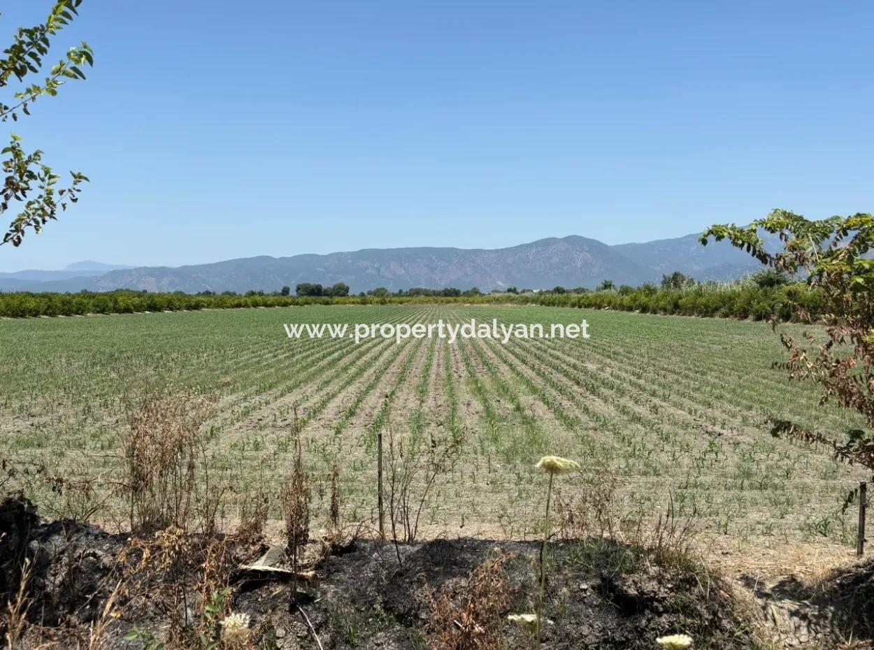 46.550M2 Grundstück Zum Verkauf In Tepearası